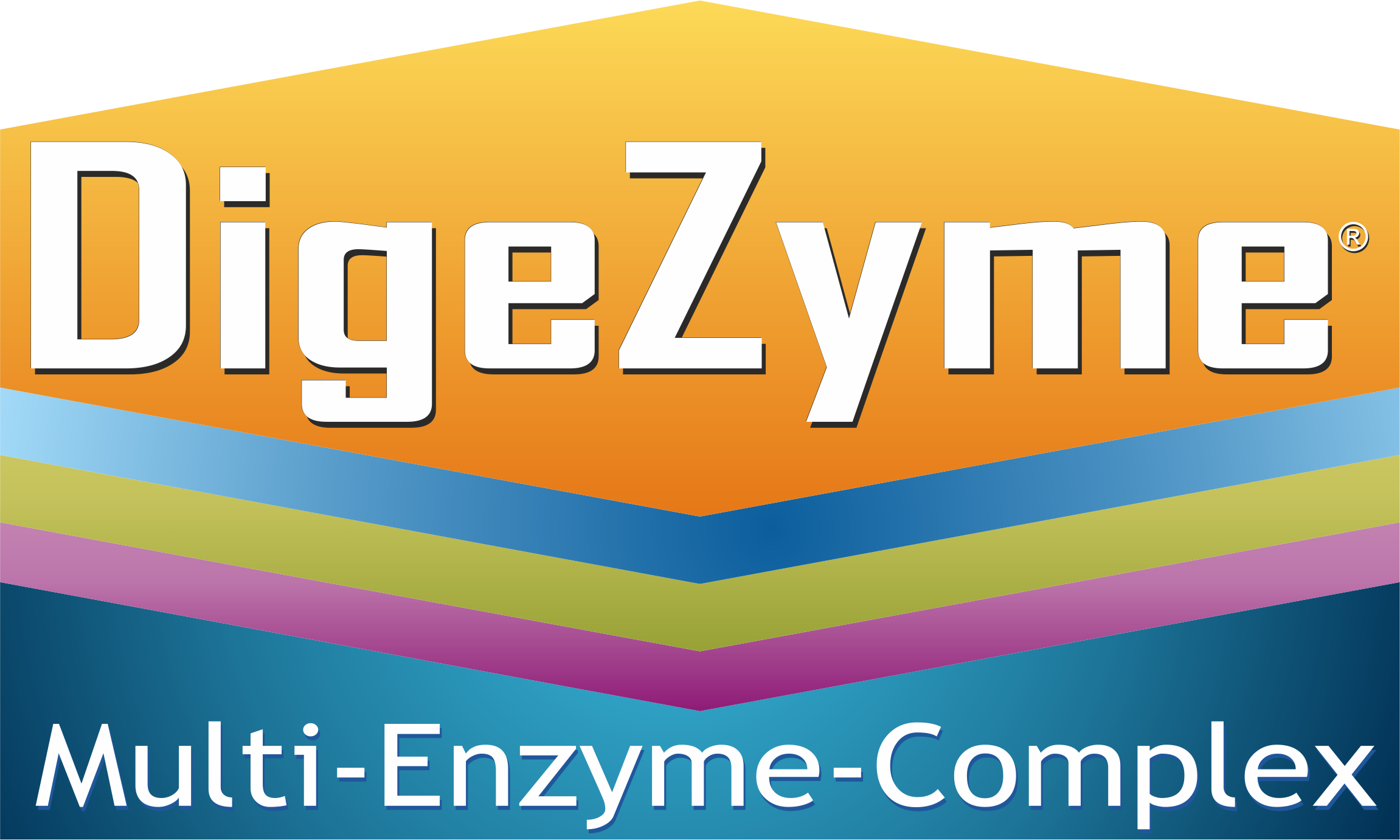 DigeZyme-2.png