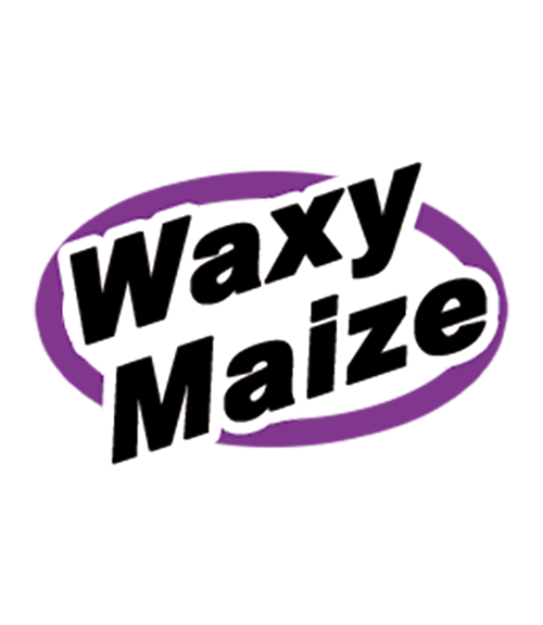 Logo waxy maize